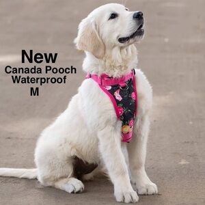 New Canada Pooch The Everything Harness Water-Resistant Medium w/tags Floral⭐️